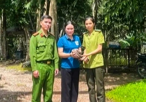 Tê tê Java bò vào sân, người dân giao nộp cho công an- Ảnh 1.