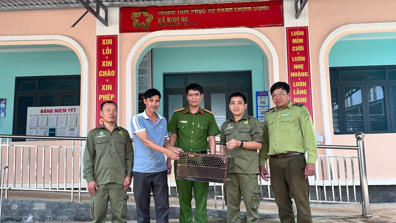 Đồng Nai: Người dân giao nộp rùa vàng, vượn má vàng quý hiếm 'đi lạc' - Ảnh 4.