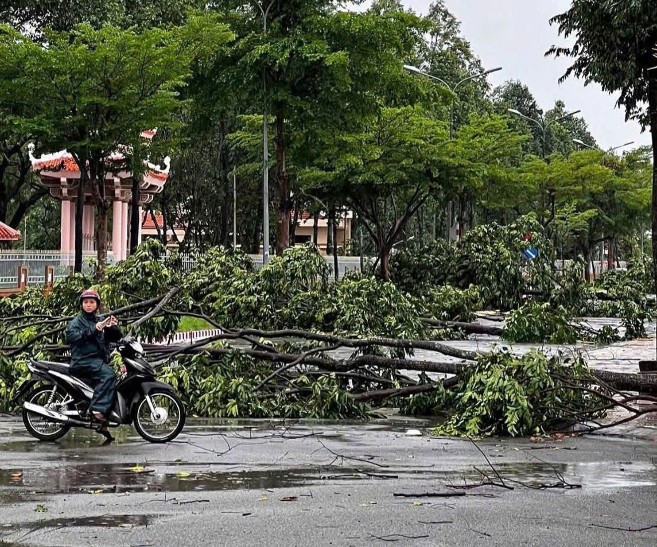 Giông lốc tốc mái 6 căn nhà, hư hỏng một số hạng mục tại Lễ hội Sen - Ảnh 2.