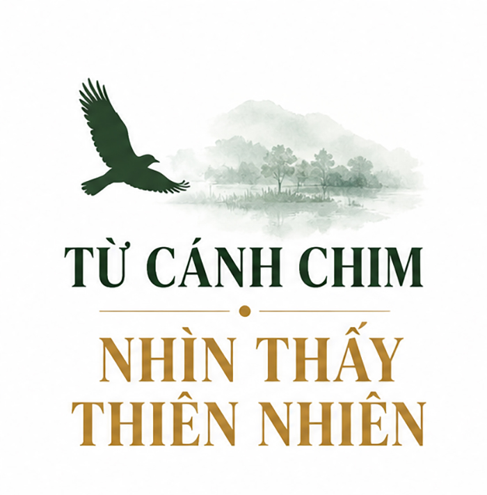 Nhà điểu học giữ hệ sinh thái tự nhiên - Ảnh 1.