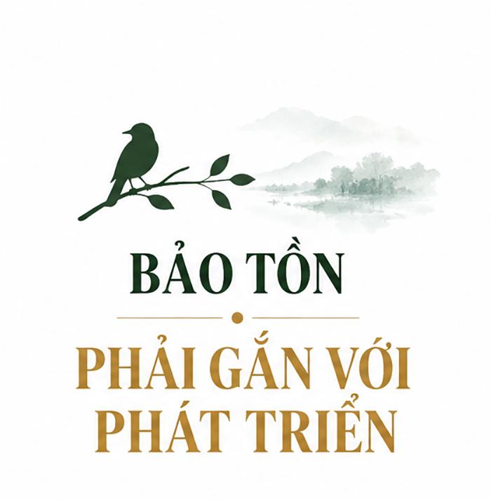 Nhà điểu học giữ hệ sinh thái tự nhiên - Ảnh 4.