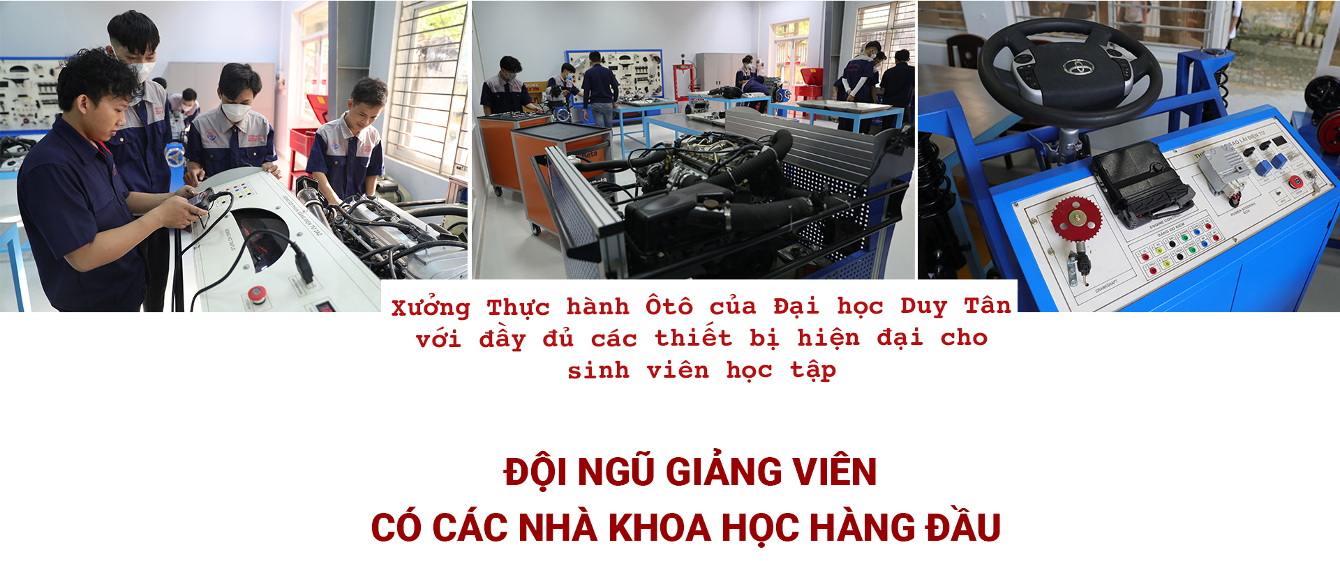 - Ảnh 7. - Ảnh 7.