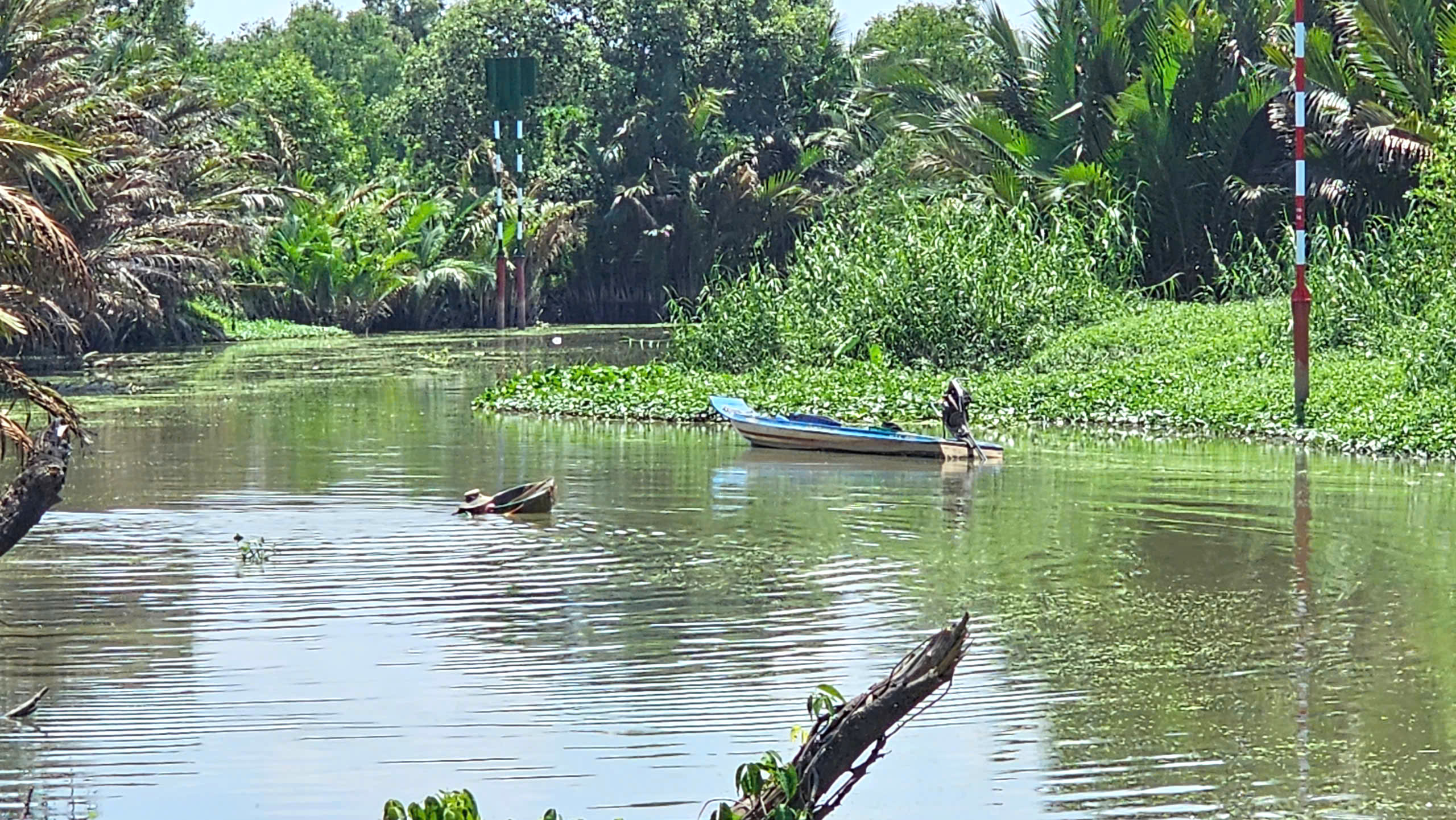 Người đ&agrave;n &ocirc;ng 27 năm t&igrave;m 'lộc trời' dưới đ&aacute;y rạch ở S&agrave;i G&ograve;n - Ảnh 7.