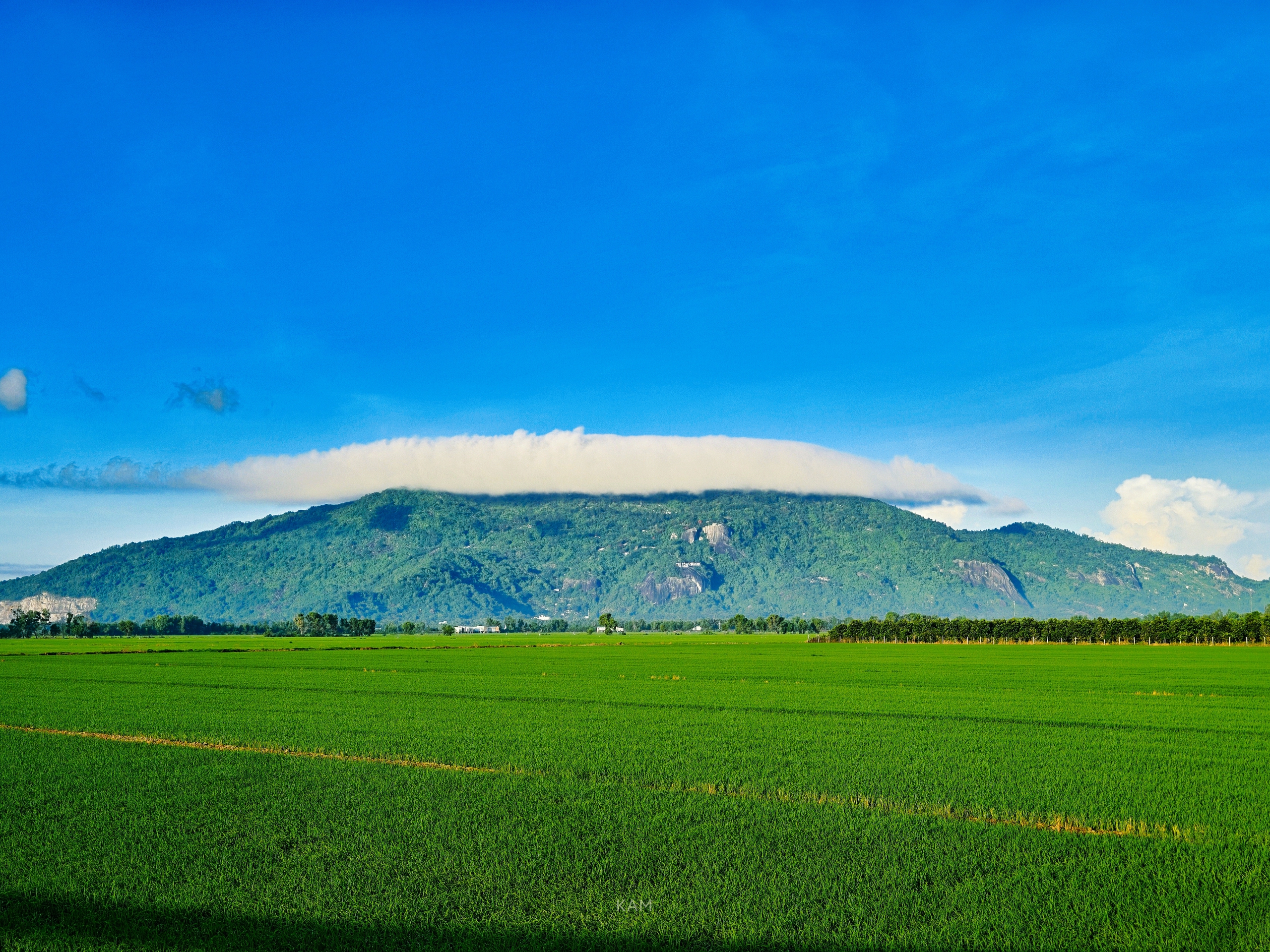 M&ugrave;a săn m&acirc;y 'đội n&oacute;n' cho n&uacute;i C&ocirc; T&ocirc;, cảnh tượng tuyệt đẹp ở v&ugrave;ng Bảy N&uacute;i - Ảnh 1.