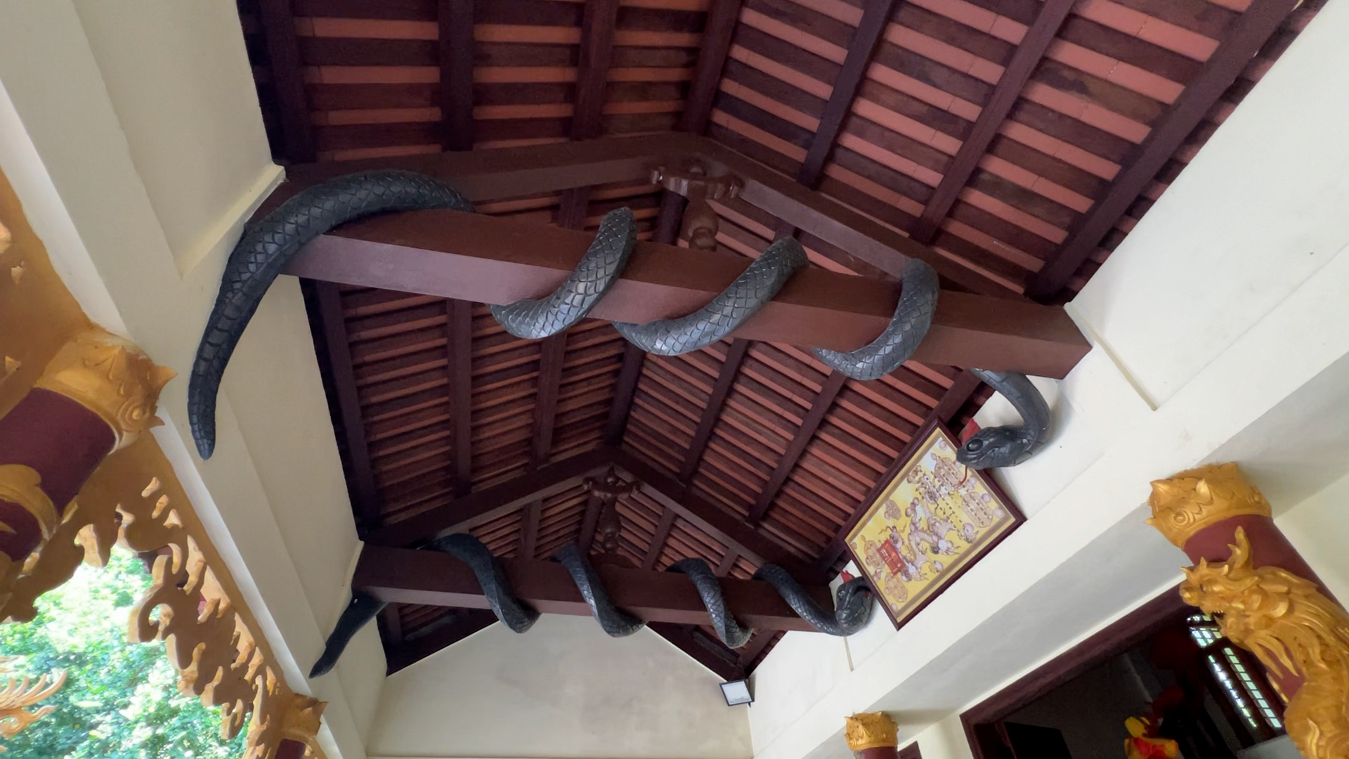 Những câu chuyện huyền bí dưới tán rừng Rú Chá xứ Huế - Ảnh 1.