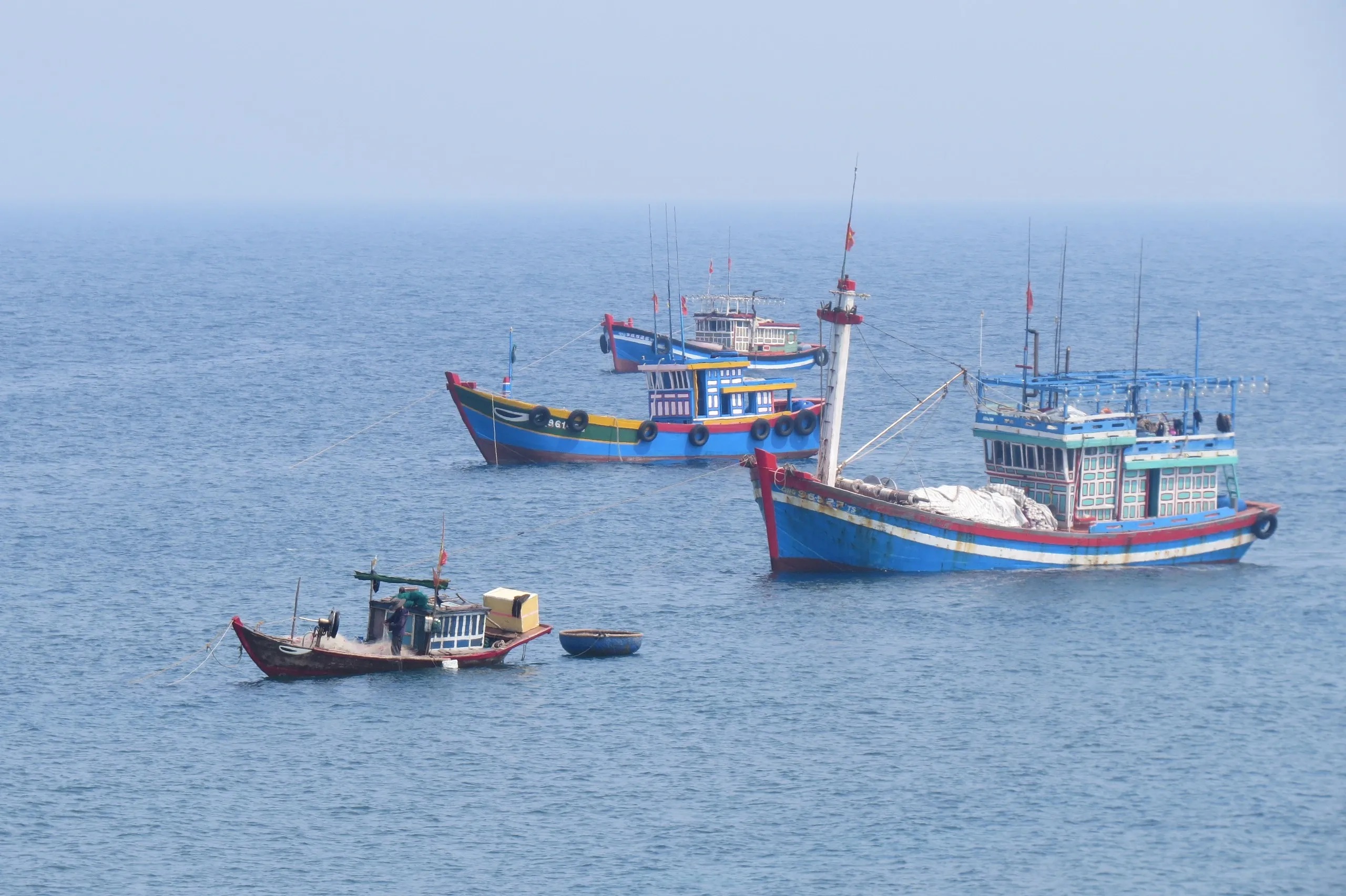 Can trường vươn khơi, bám biển- Ảnh 4.