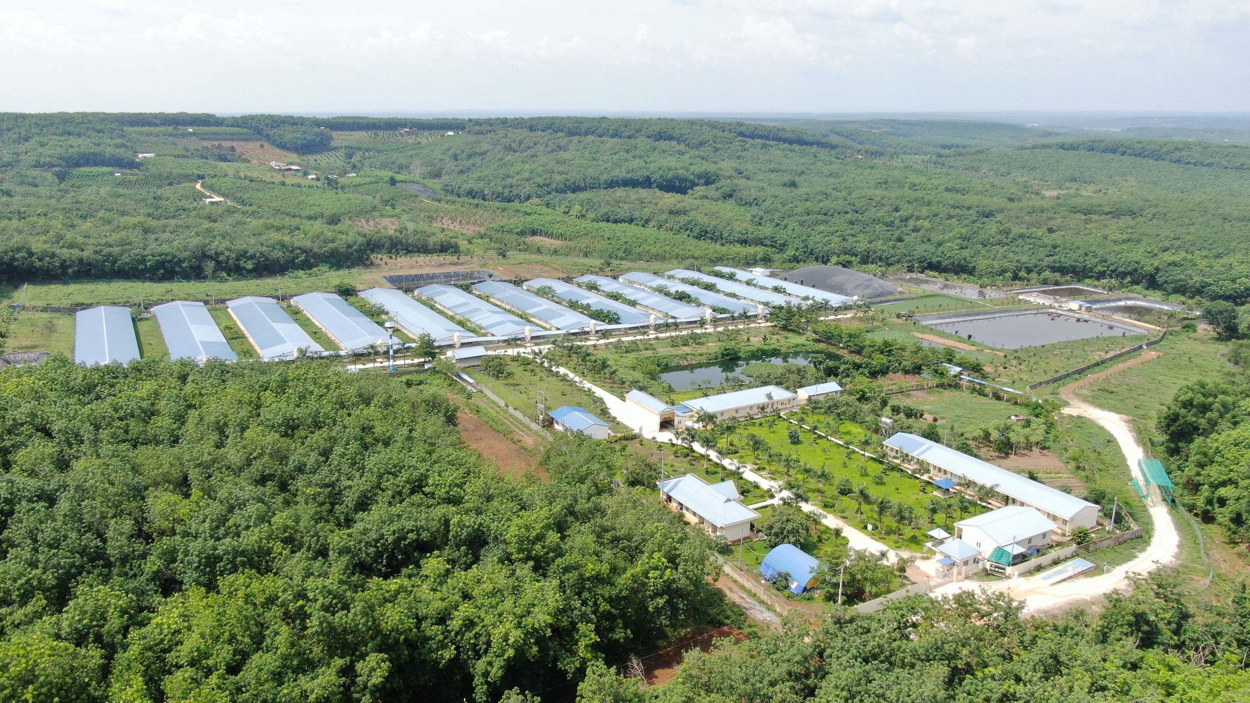 Chăn nuôi heo bền vững: Kết nối khoa học với thực tiễn vận hành trang trại - Ảnh 4.
