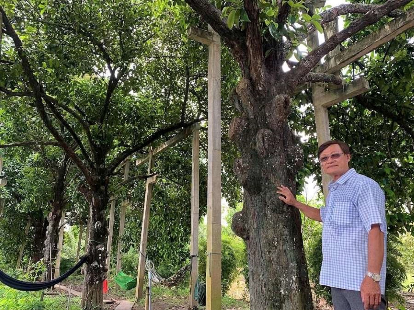 Cù lao Phong Nẫm không chỉ độc lạ măng cụt 100 tuổi- Ảnh 2.