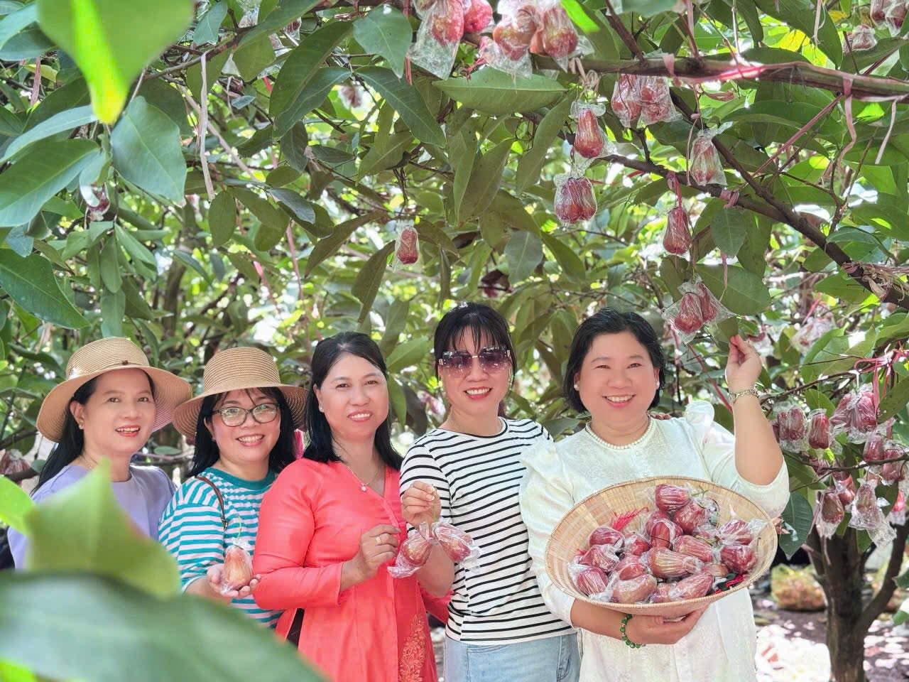 Cù lao Phong Nẫm không chỉ độc lạ măng cụt 100 tuổi- Ảnh 5.