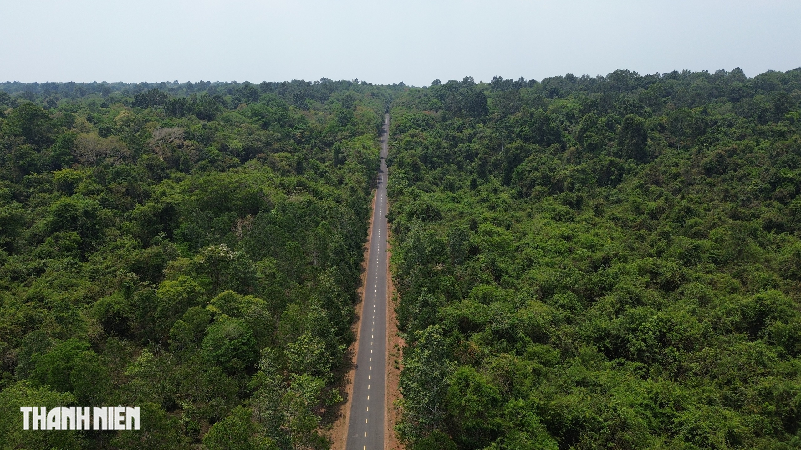 Ảnh phối cảnh 13 km đường tr&ecirc;n cao xuy&ecirc;n Khu bảo tồn thi&ecirc;n nhi&ecirc;n văn h&oacute;a Đồng Nai- Ảnh 6.