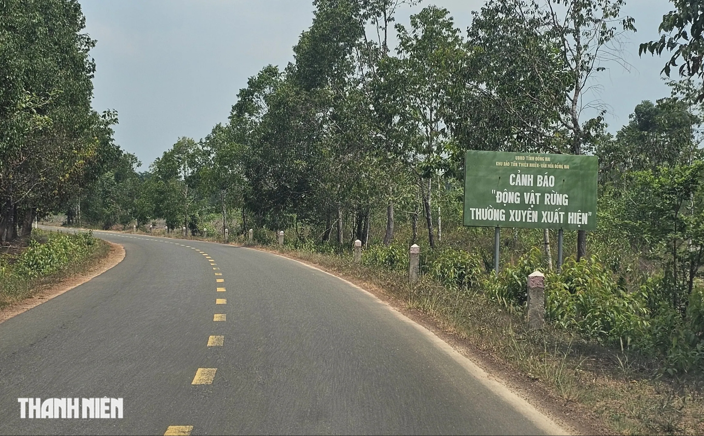 Ảnh phối cảnh 13 km đường tr&ecirc;n cao xuy&ecirc;n Khu bảo tồn thi&ecirc;n nhi&ecirc;n văn h&oacute;a Đồng Nai- Ảnh 5.