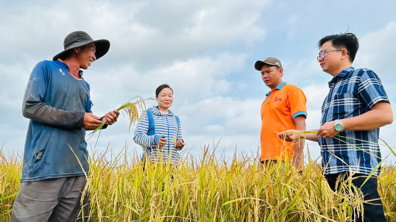Vì sao Lương Thế Trân trở thành phường công nghiệp mới?- Ảnh 5. Vì sao Lương Thế Trân trở thành phường công nghiệp mới?- Ảnh 5.
