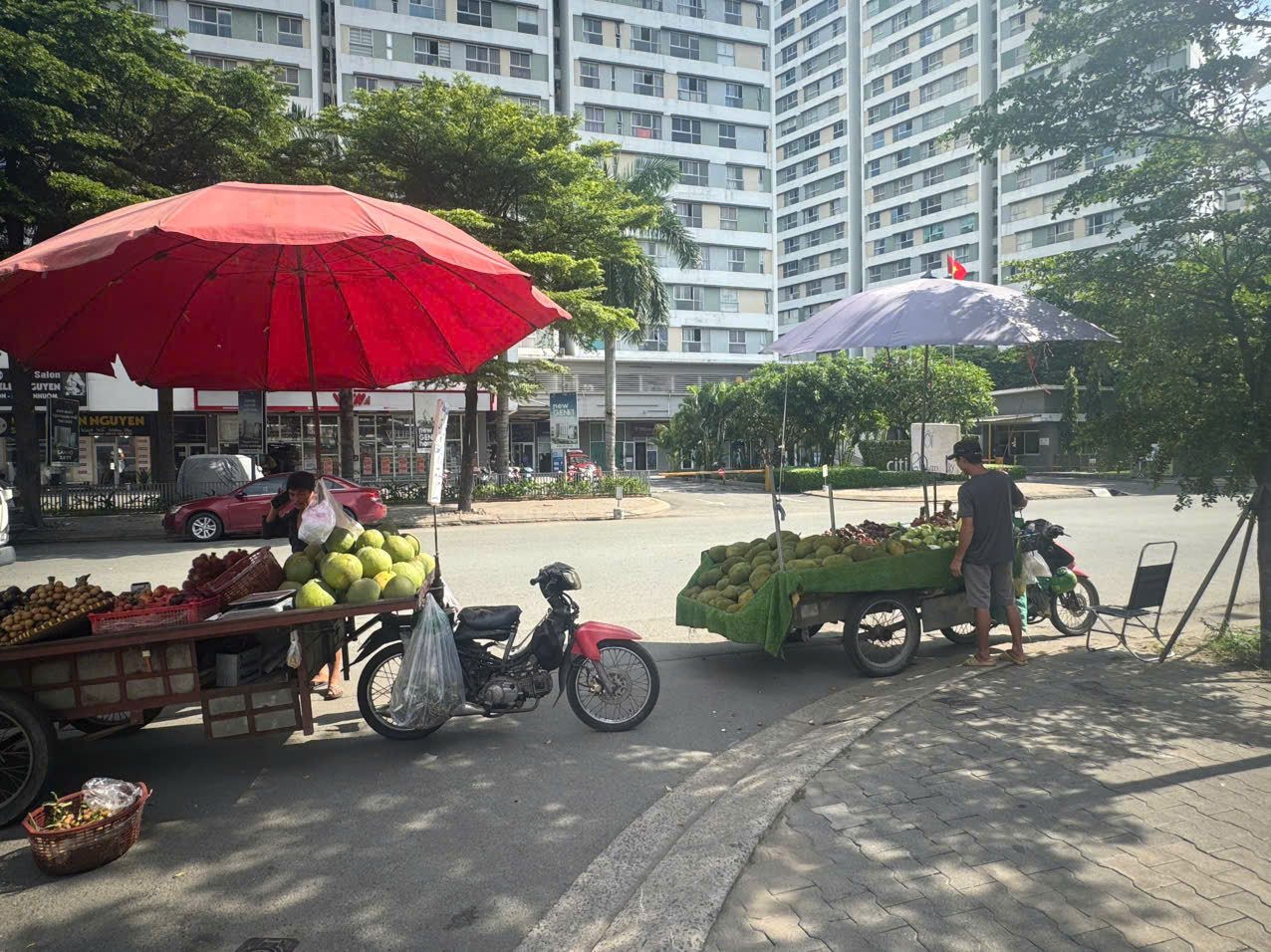 Nghịch l&yacute; gi&aacute; tr&aacute;i c&acirc;y- Ảnh 2.