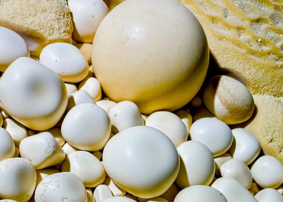 Th&ecirc;m hang động mới c&oacute; 'cung điện thạch nhũ', ngọc động lạ ở Phong Nha - Kẻ B&agrave;ng- Ảnh 3.