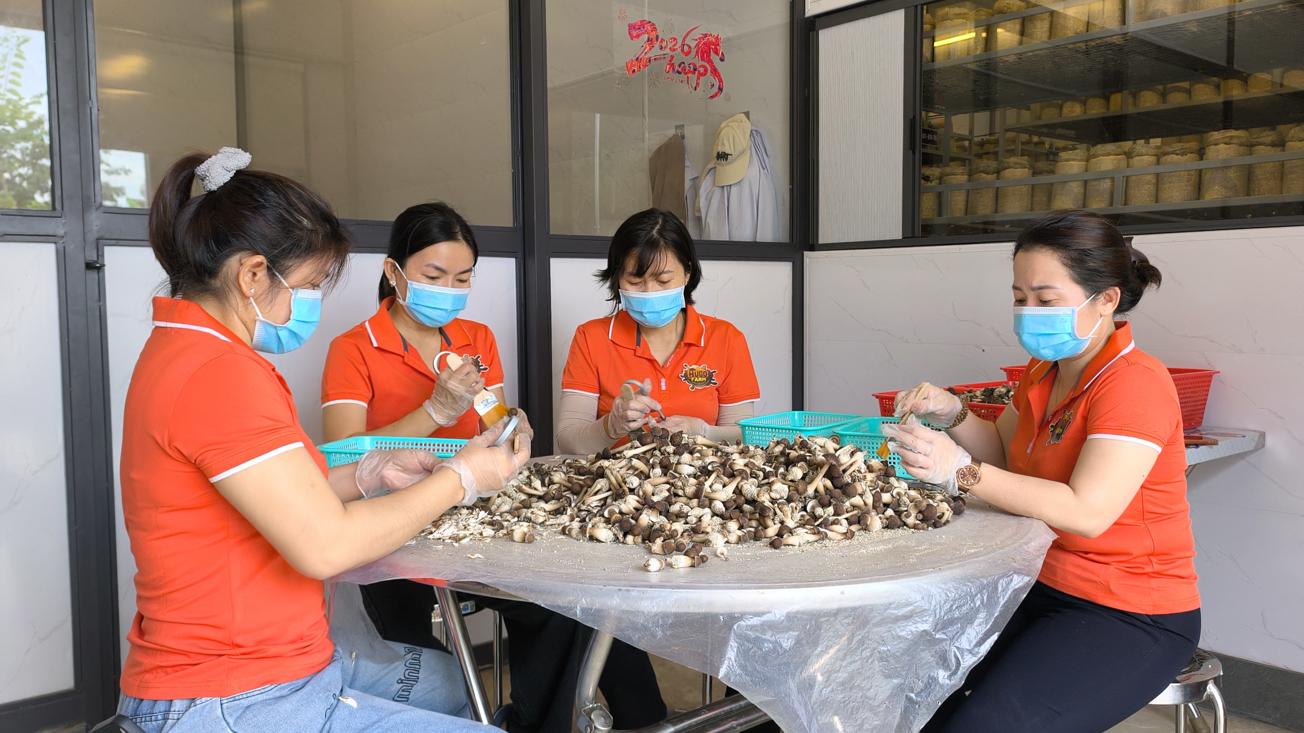 C&ugrave;ng sống xanh số 154: Khi c&ocirc;ng chức d&agrave;nh ng&agrave;y nghỉ cuối tuần  - Ảnh 3.