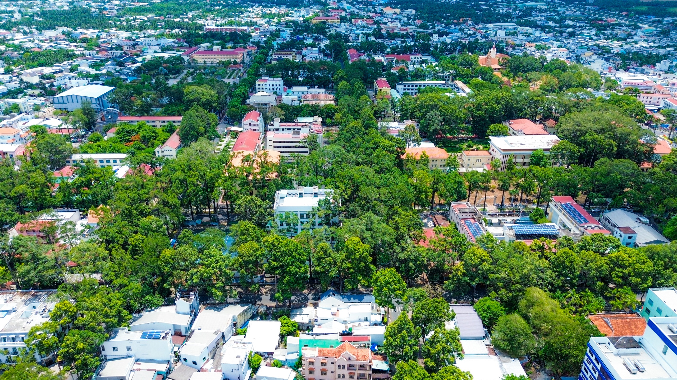 Cổ thụ phủ xanh Tr&agrave; Vinh như 'Đ&agrave; Lạt ở miền T&acirc;y' lập kỷ lục trong l&agrave;nh- Ảnh 1.