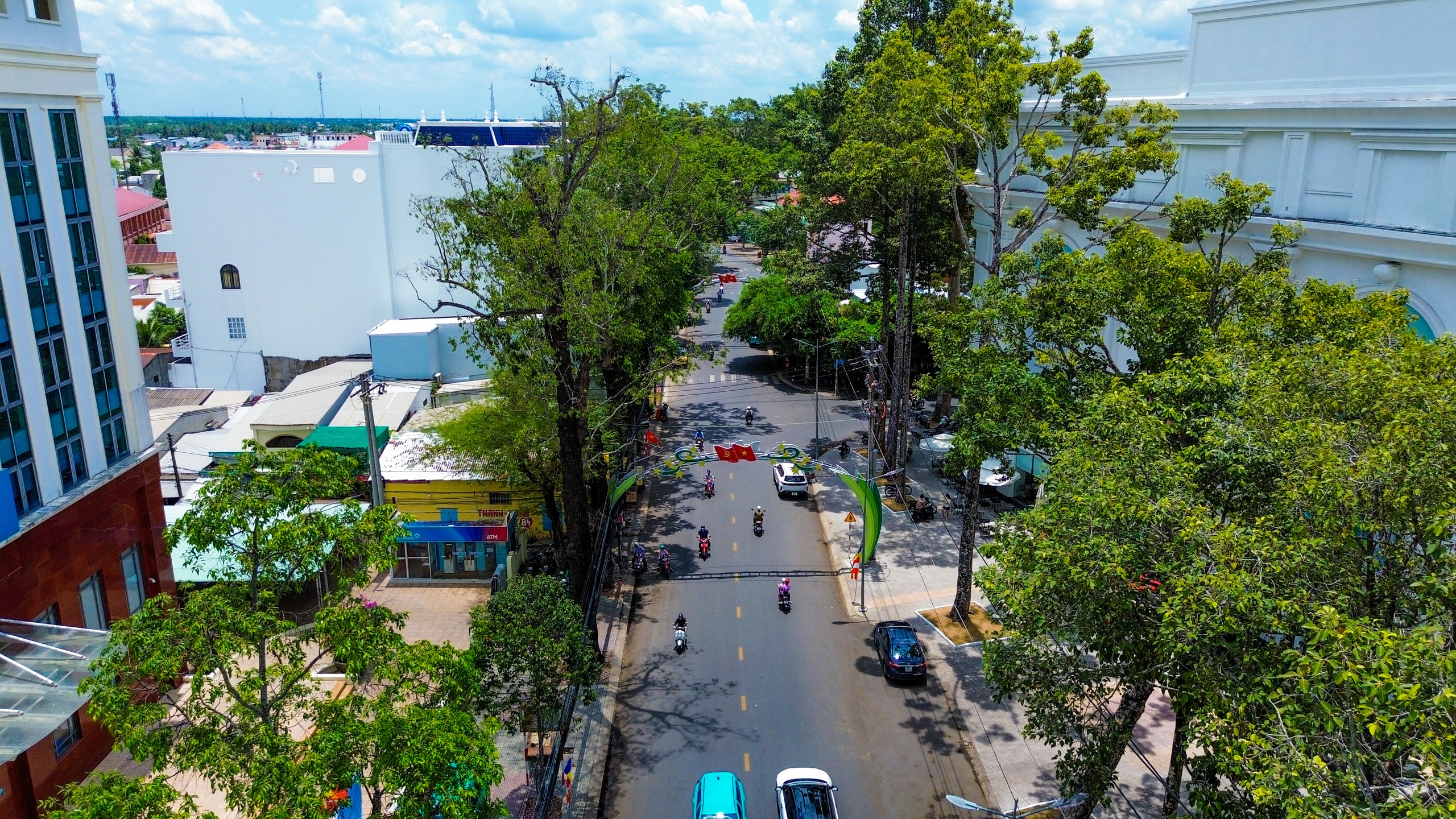 Cổ thụ phủ xanh Tr&agrave; Vinh như 'Đ&agrave; Lạt ở miền T&acirc;y' lập kỷ lục trong l&agrave;nh- Ảnh 3.