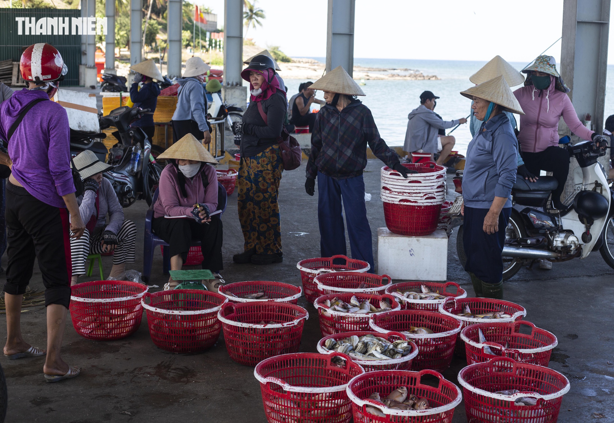 Chợ c&aacute; Cửa T&ugrave;ng tấp nập mỗi chiều, du kh&aacute;ch 'canh giờ' săn hải sản tươi r&oacute;i- Ảnh 2.