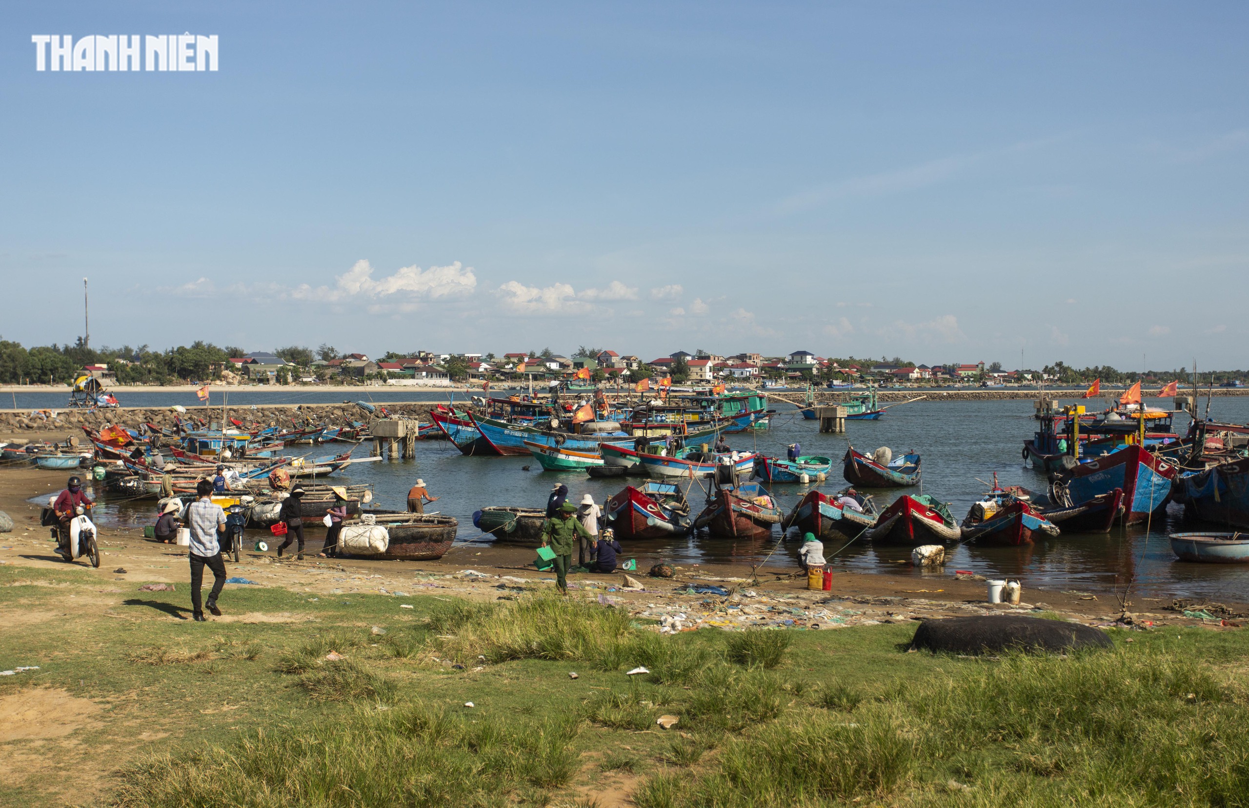 Chợ c&aacute; Cửa T&ugrave;ng tấp nập mỗi chiều, du kh&aacute;ch 'canh giờ' săn hải sản tươi r&oacute;i- Ảnh 4.