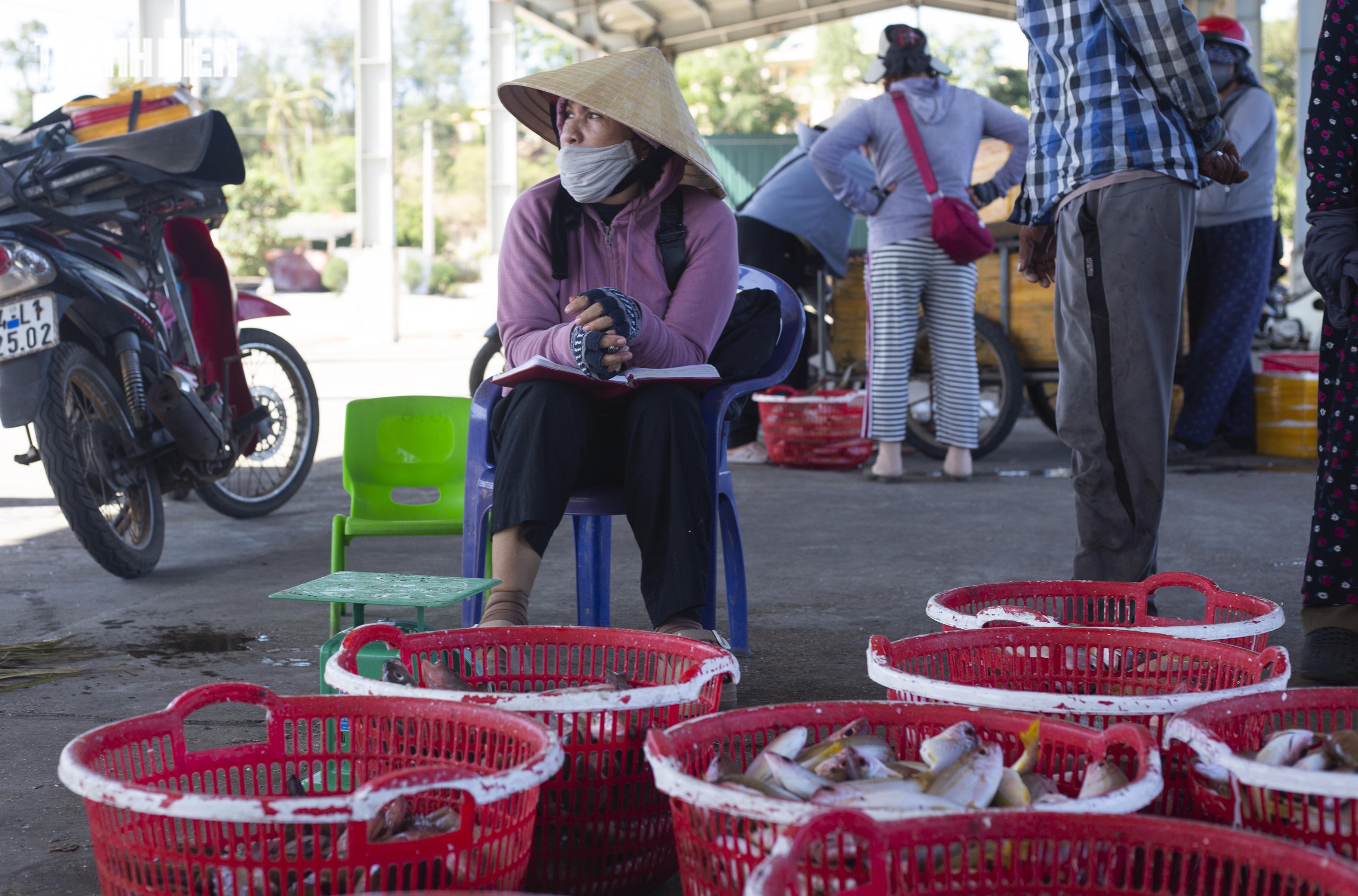 Chợ c&aacute; Cửa T&ugrave;ng tấp nập mỗi chiều, du kh&aacute;ch 'canh giờ' săn hải sản tươi r&oacute;i- Ảnh 3.