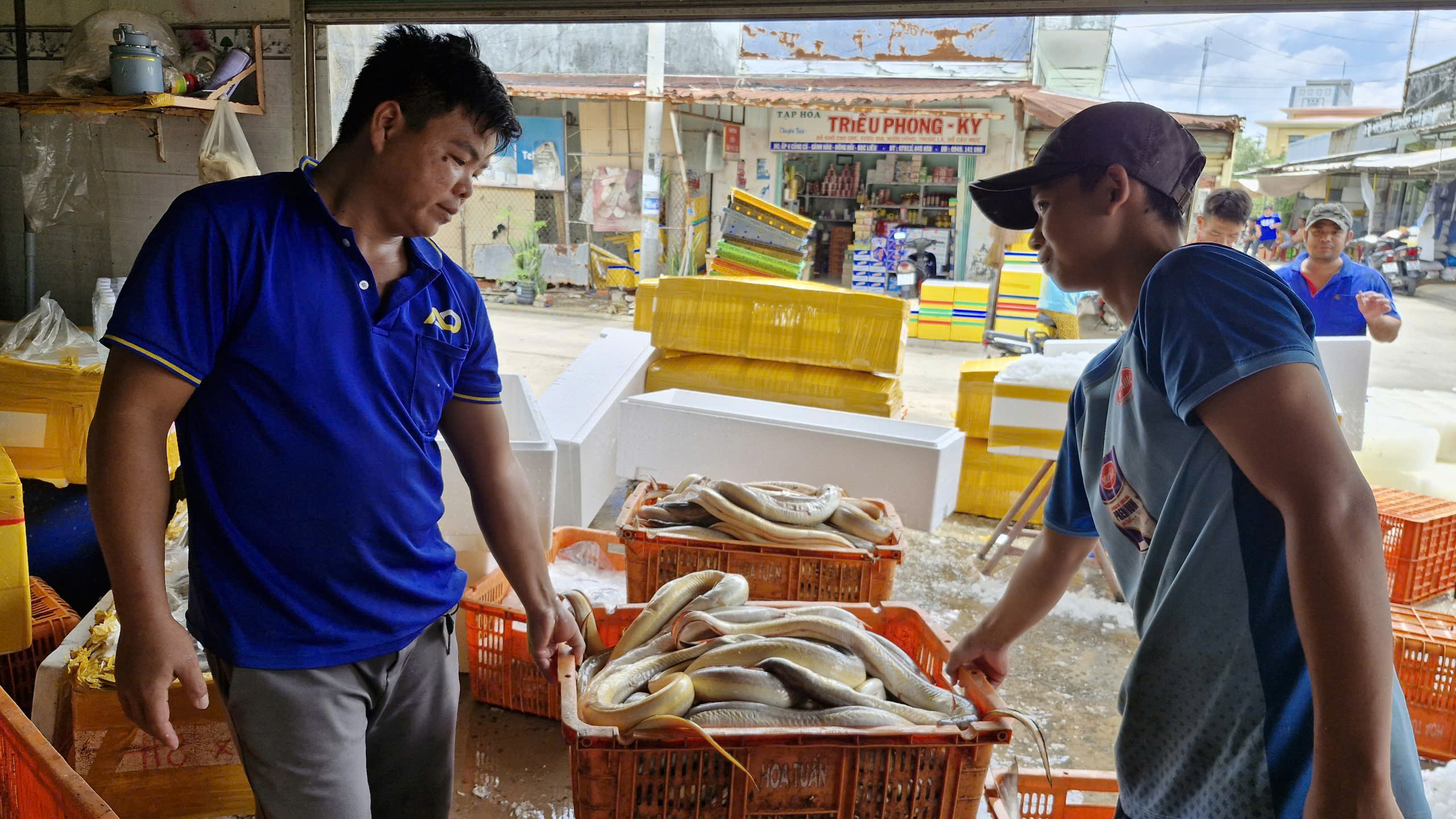 C&agrave; Mau lập 13 phường: G&agrave;nh H&agrave;o lợi thế cửa biển lớn- Ảnh 8.