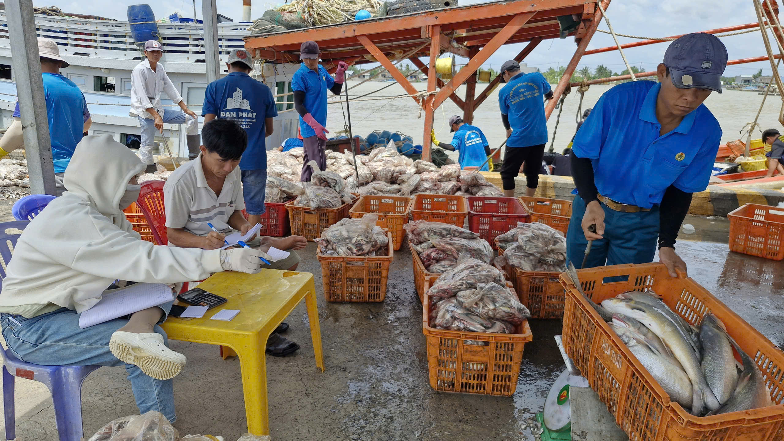 C&agrave; Mau lập 13 phường: G&agrave;nh H&agrave;o lợi thế cửa biển lớn- Ảnh 9.