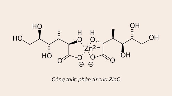 Kẽm zinc l&agrave; g&igrave;? Chuy&ecirc;n gia nhận định ngo&agrave;i giảm mụn c&ograve;n l&agrave;m đẹp da bất ngờ - Ảnh 2.