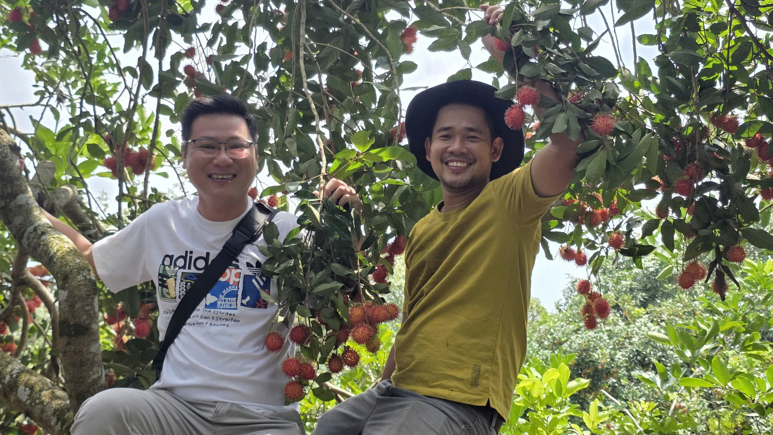 Vườn tr&aacute;i c&acirc;y trĩu quả c&aacute;ch TP.HCM 2 giờ đi xe: Kh&aacute;ch t&igrave;m đến 'ăn thả ga' - Ảnh 13.