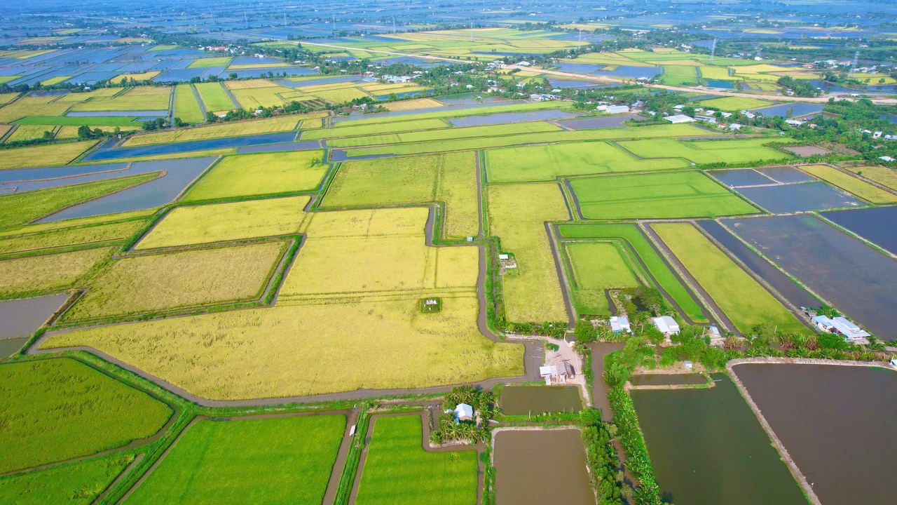  Hồng Dân với khát vọng vươn lên mạnh mẽ- Ảnh 5.