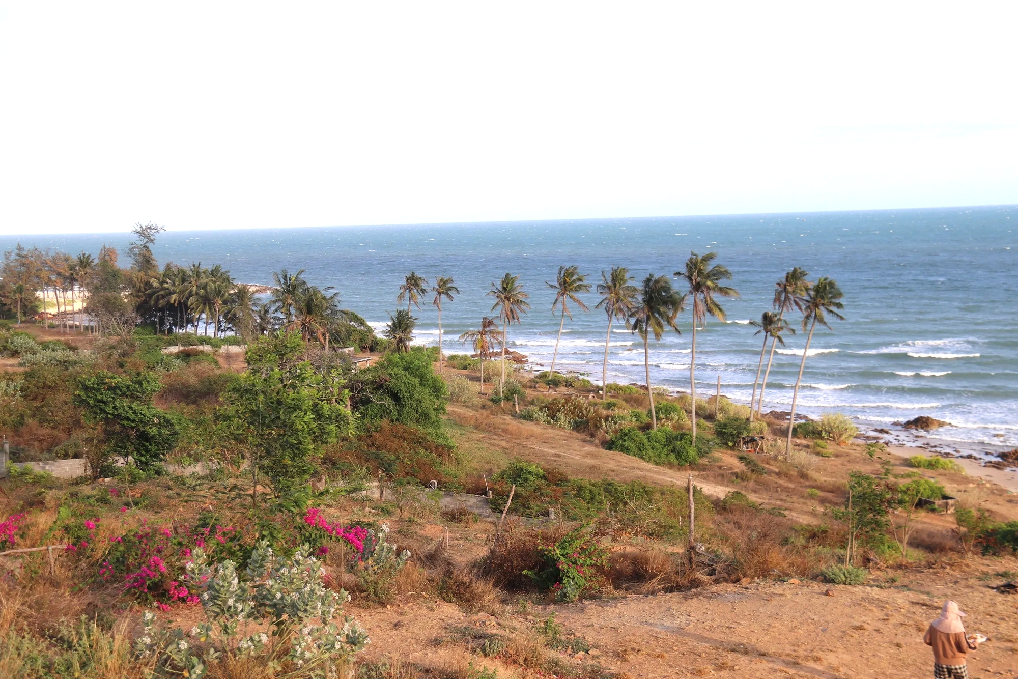 Dự án đường ven biển Phan Thiết 10.000 tỉ đồng được đầu tư theo hình thức nào?- Ảnh 2.