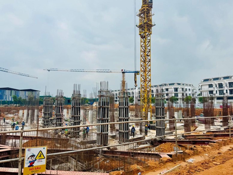 Khi chuẩn mực chất lượng lên tiếng- Ảnh 1.
