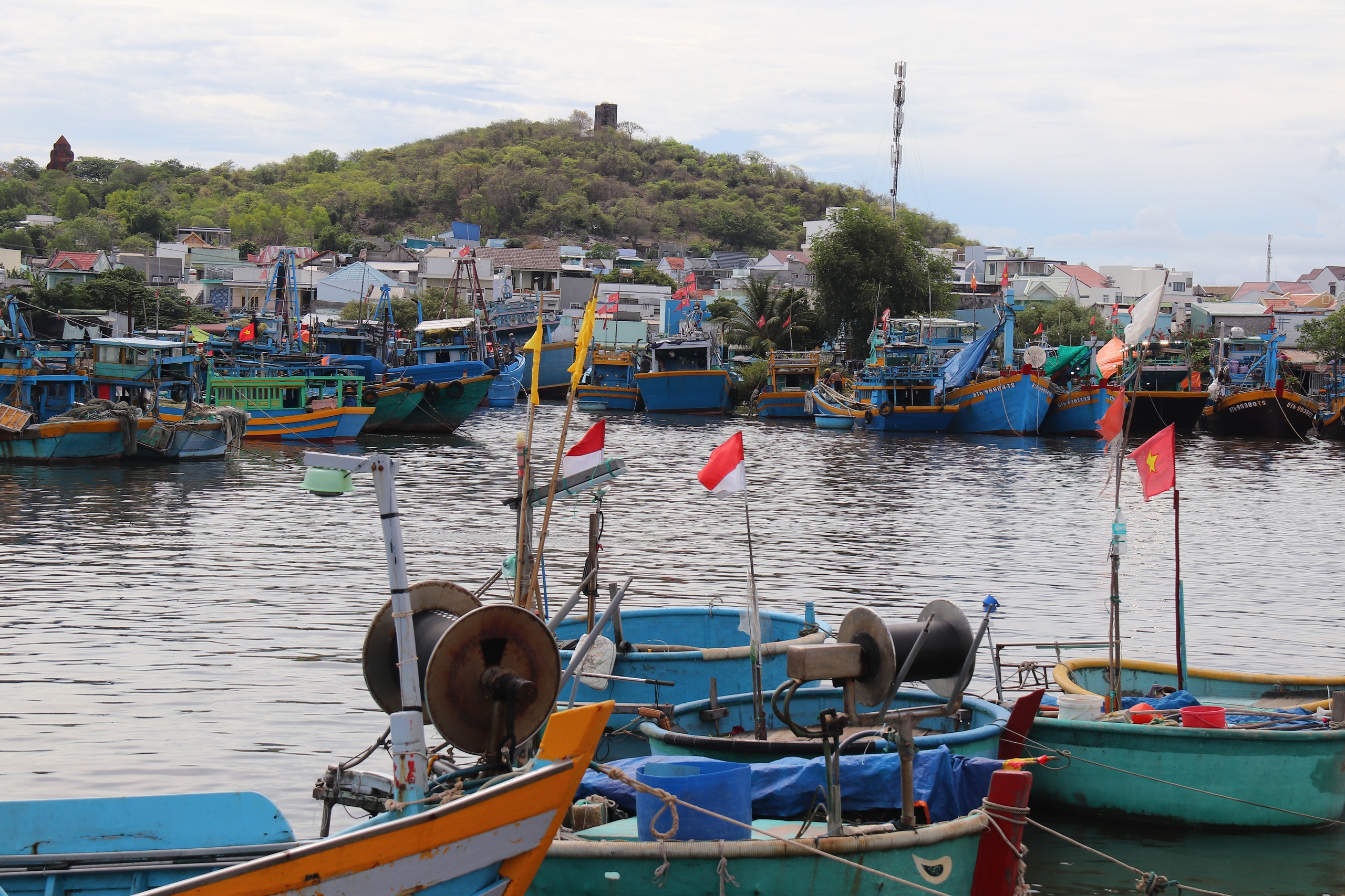 Lâm Đồng mở cao điểm siết IUU, chặn tàu cá vi phạm ngay từ trong bờ- Ảnh 2.