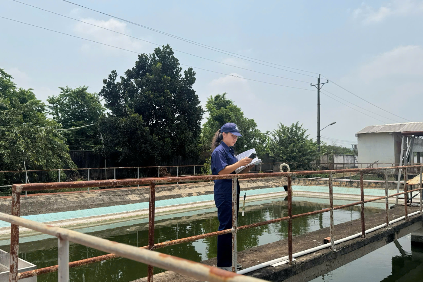 Người phụ nữ thầm lặng giữ màu xanh cho nhà máy cao su - Ảnh 1.