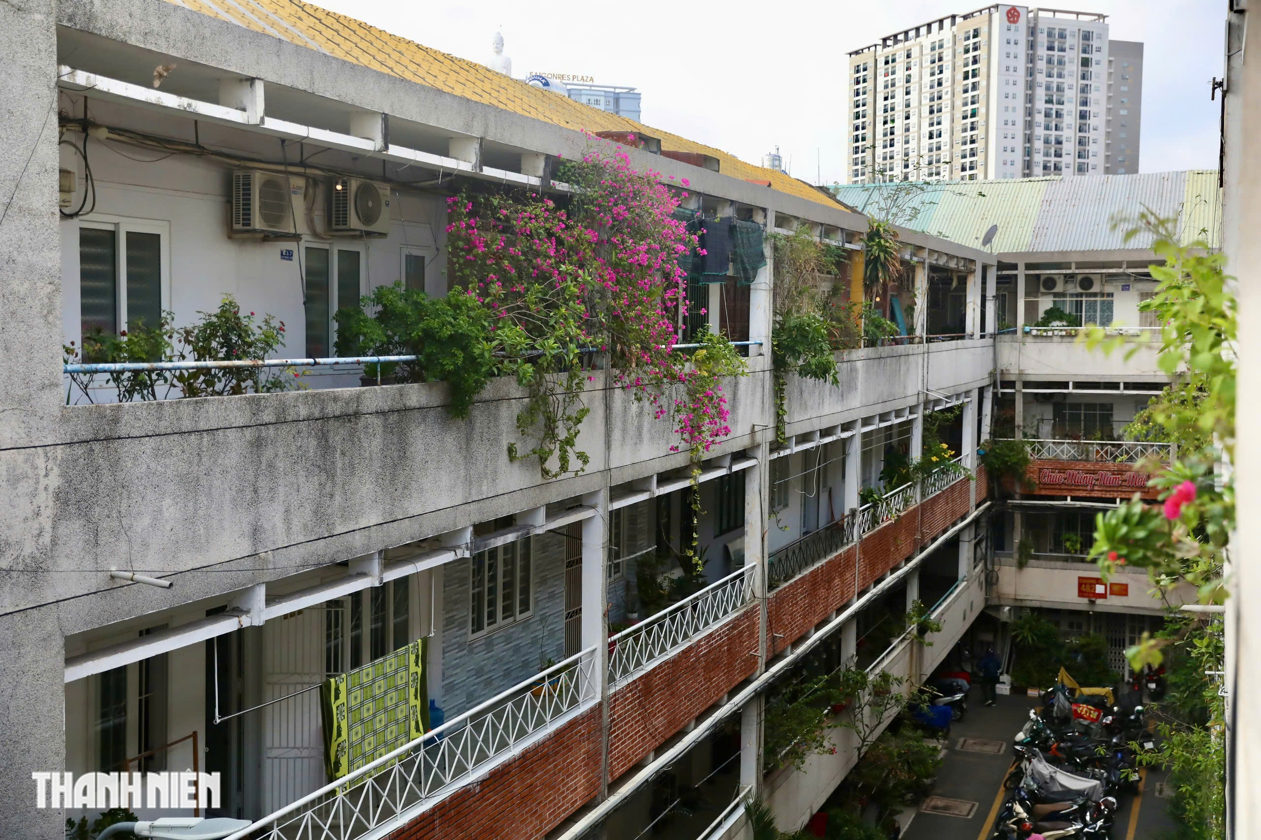 TP.HCM trao tặng nh&agrave; mới cho nh&agrave; nghi&ecirc;n cứu Nguyễn Đ&igrave;nh Tư ở tuổi 106- Ảnh 11.