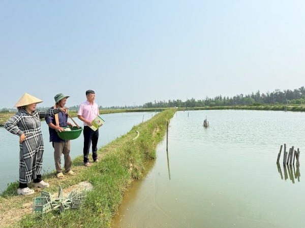 Vốn chính sách tiếp sức người dân vùng đầm phá khôi phục sinh kế- Ảnh 1. Vốn chính sách tiếp sức người dân vùng đầm phá khôi phục sinh kế- Ảnh 1.