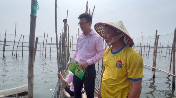 Vốn chính sách tiếp sức người dân vùng đầm phá khôi phục sinh kế- Ảnh 2. Vốn chính sách tiếp sức người dân vùng đầm phá khôi phục sinh kế- Ảnh 2.