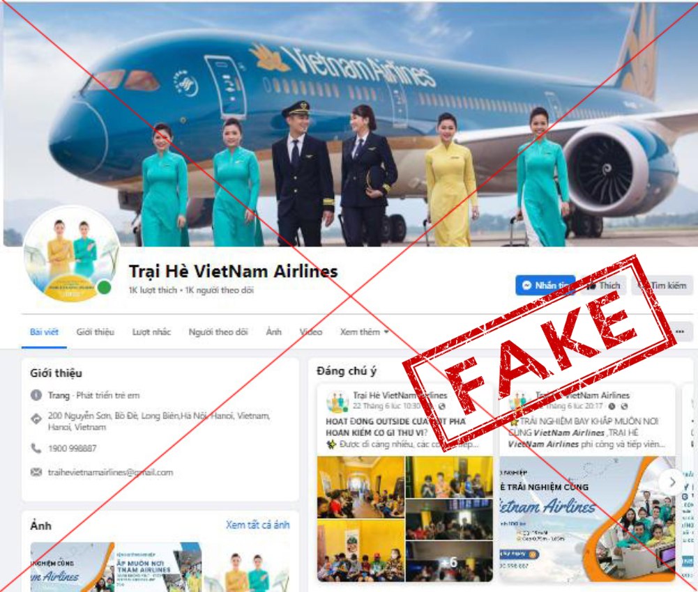 Cảnh báo các 'chiêu' lừa đảo, website giả mạo bán vé bay rẻ - Ảnh 1.