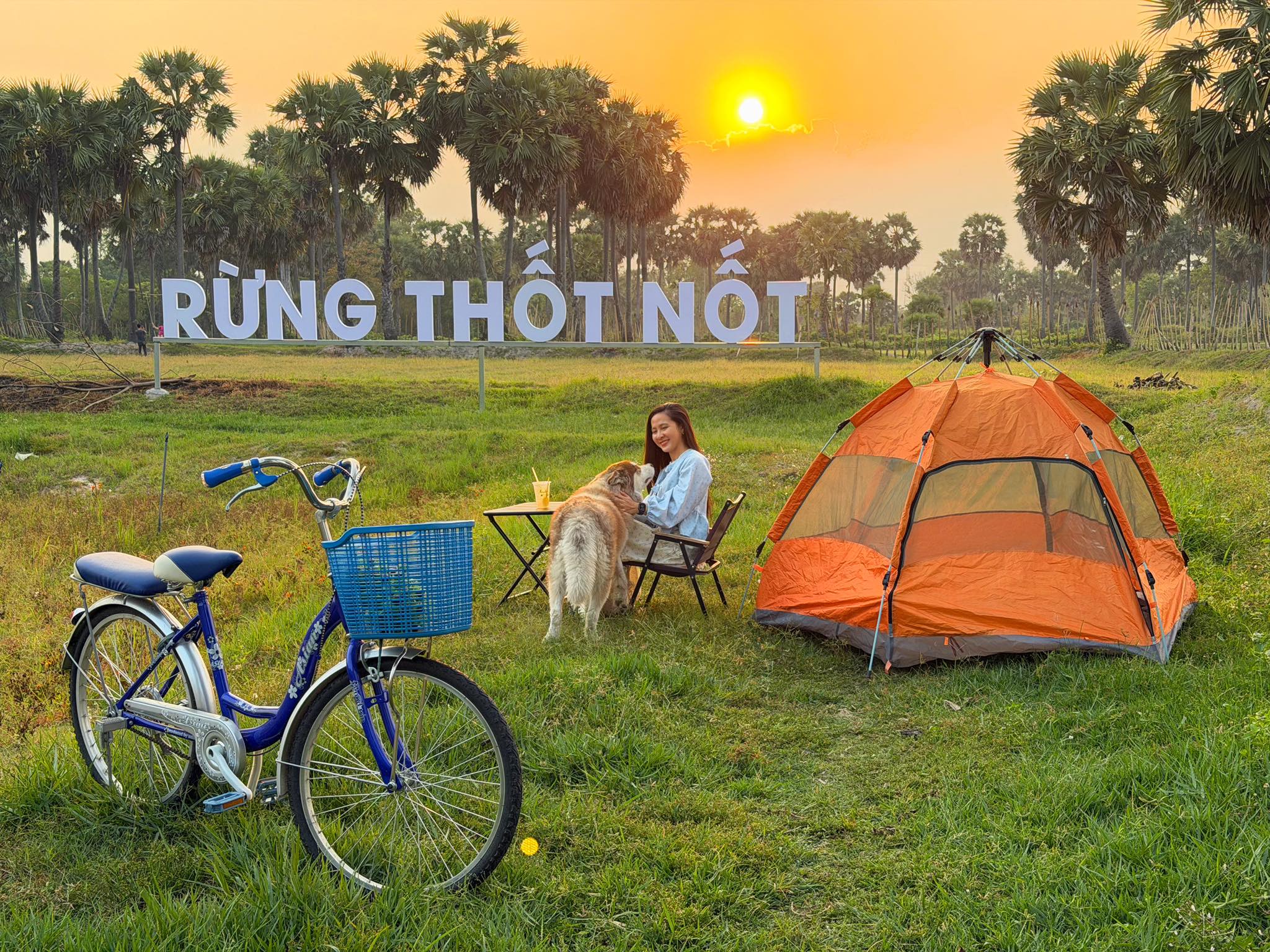 Biến rừng thốt nốt hoang sơ thành điểm du lịch độc đáo ở vùng Bảy Núi - Ảnh 7.