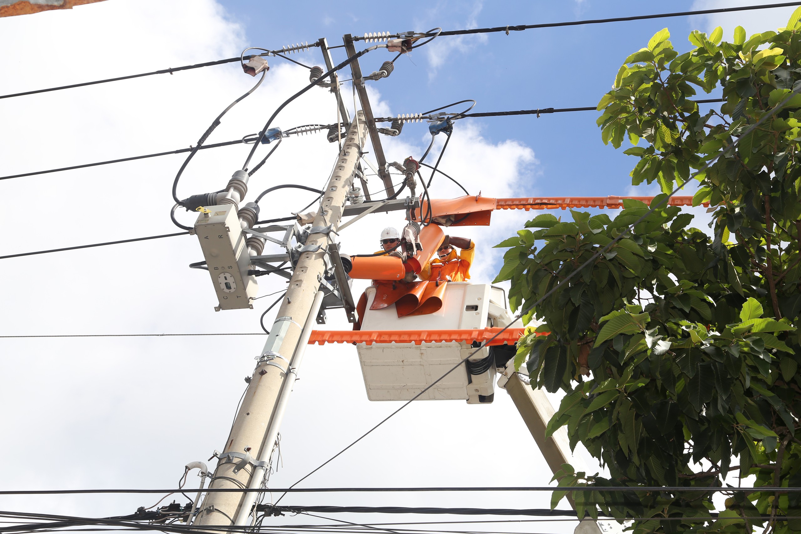 Ảnh dự thi: 50 năm tỏa sáng bản lĩnh - Ảnh 6.