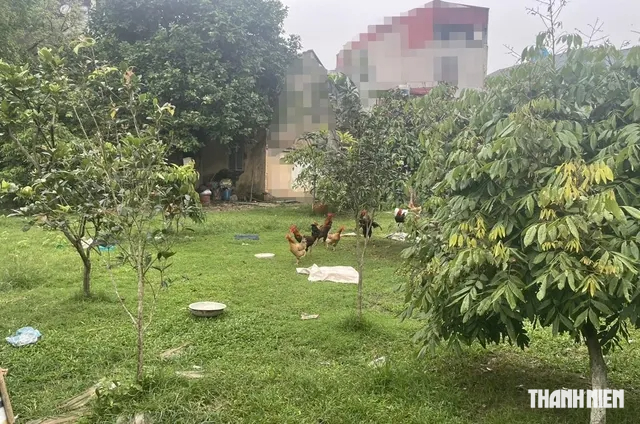 11 anh em kiện chia đất, ròng rã 4 năm, tóc bạc trắng vẫn chưa hồi kết - Ảnh 2.