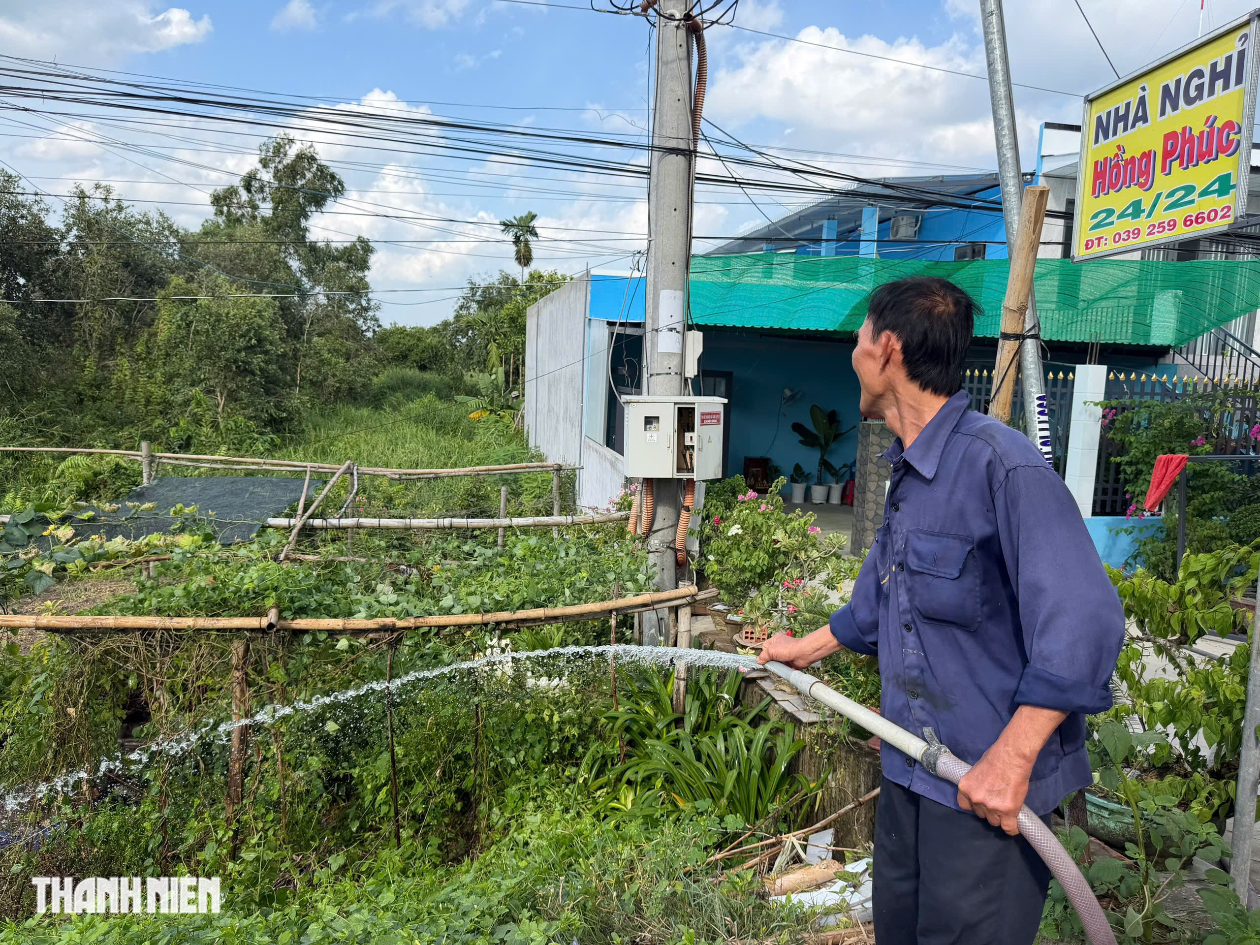 Lãnh đạo tỉnh Đồng Tháp chỉ đạo làm rõ nguyên nhân rau màu chết bất thường - Ảnh 6.