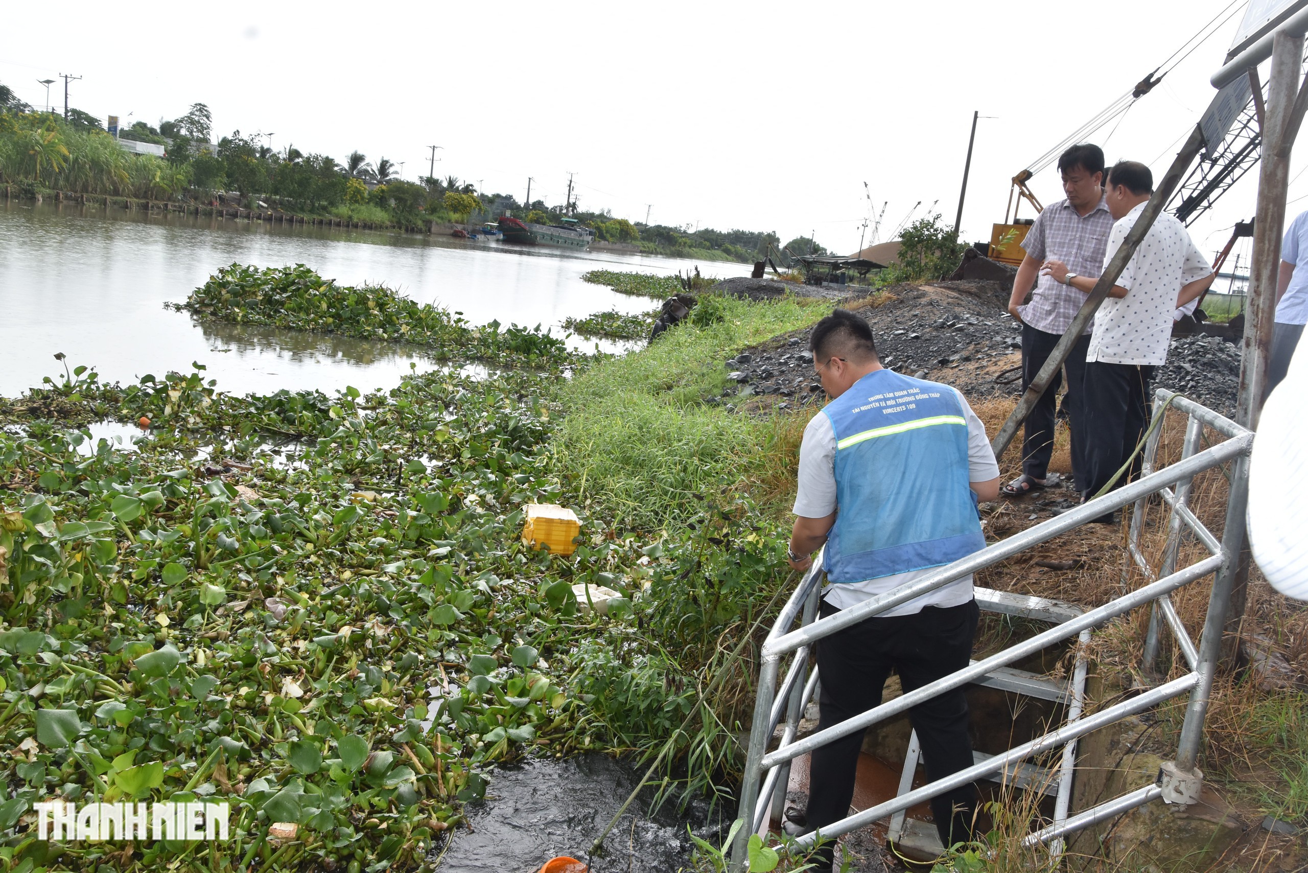 Lãnh đạo tỉnh Đồng Tháp chỉ đạo làm rõ nguyên nhân rau màu chết bất thường - Ảnh 1.