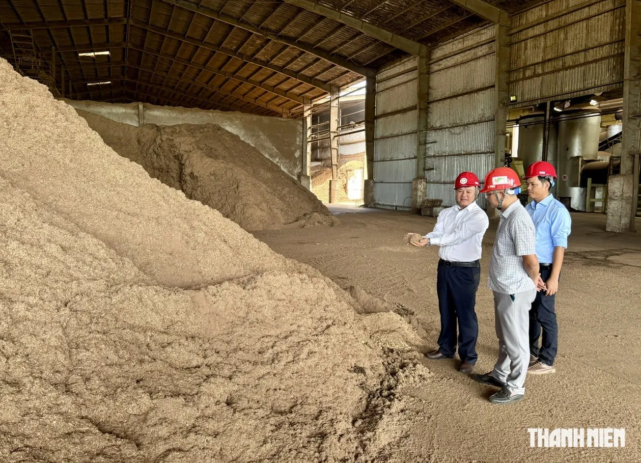Nhà máy Wood Pellets ở Quảng Ngãi vận hành trở lại sau khi khắc phục ô nhiễm - Ảnh 2.