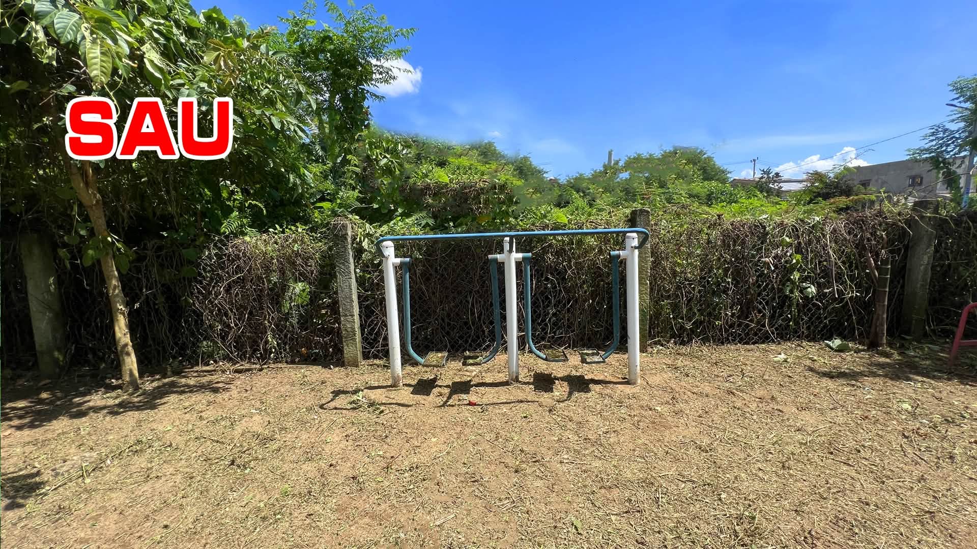 Không nhận thù lao, không có kinh phí: - Ảnh 2.
