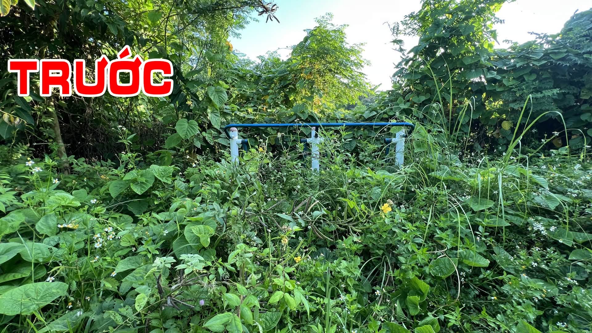 Không nhận thù lao, không có kinh phí: - Ảnh 1.