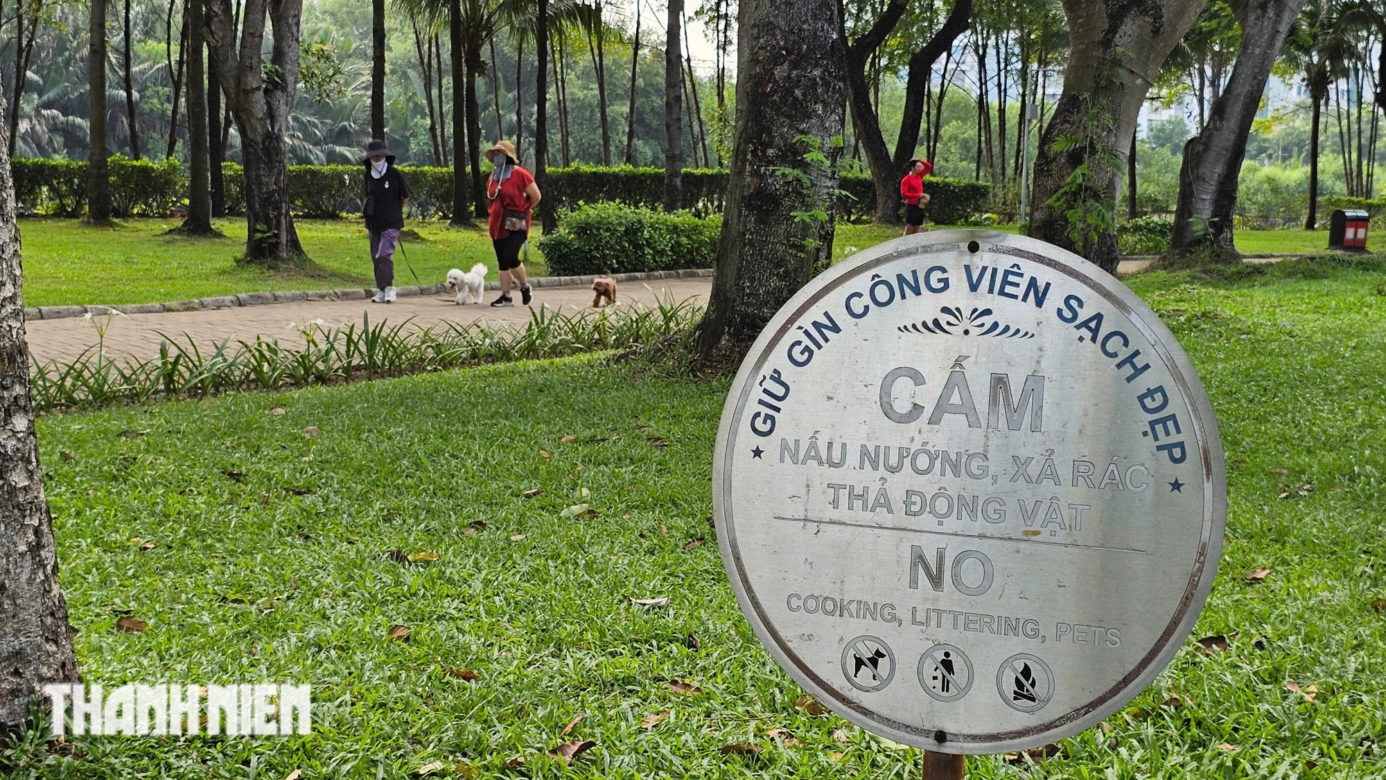 Chó thả rông không rọ mõm tràn lan ở công viên Cảnh Đồi: Biển cấm làm cảnh - Ảnh 6.