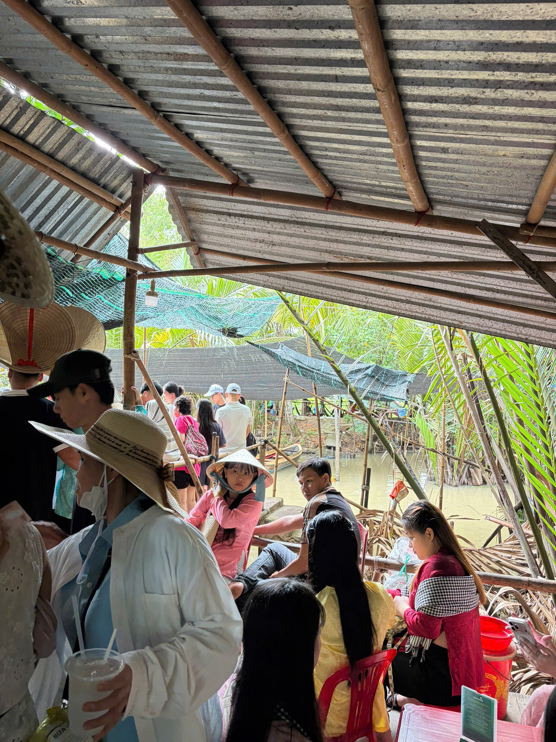 Tắc xuồng ba lá ở cồn Thới Sơn- Ảnh 1.
