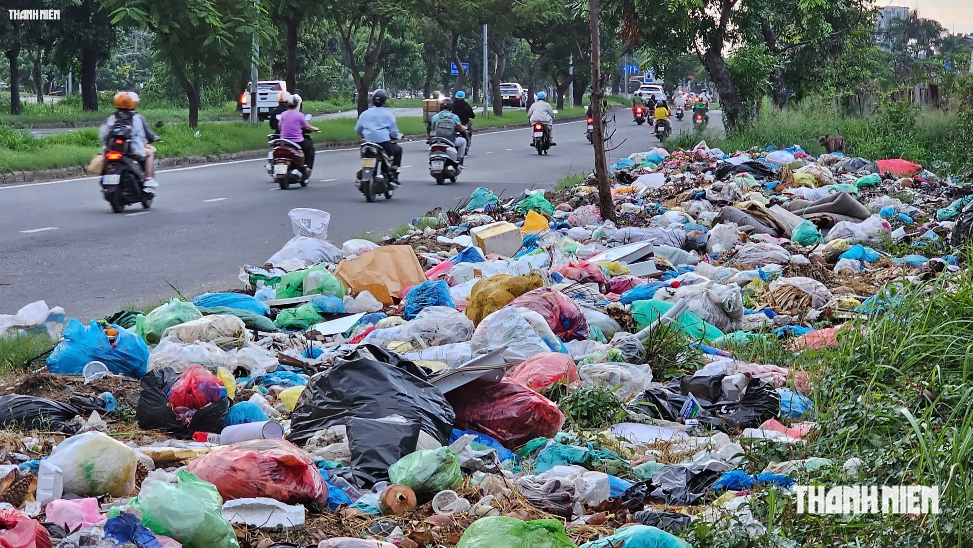 Nỗi Kinh hoàng từ rác thải bừa bãi trên tuyến đường Nguyễn Văn Linh - Ảnh 1.