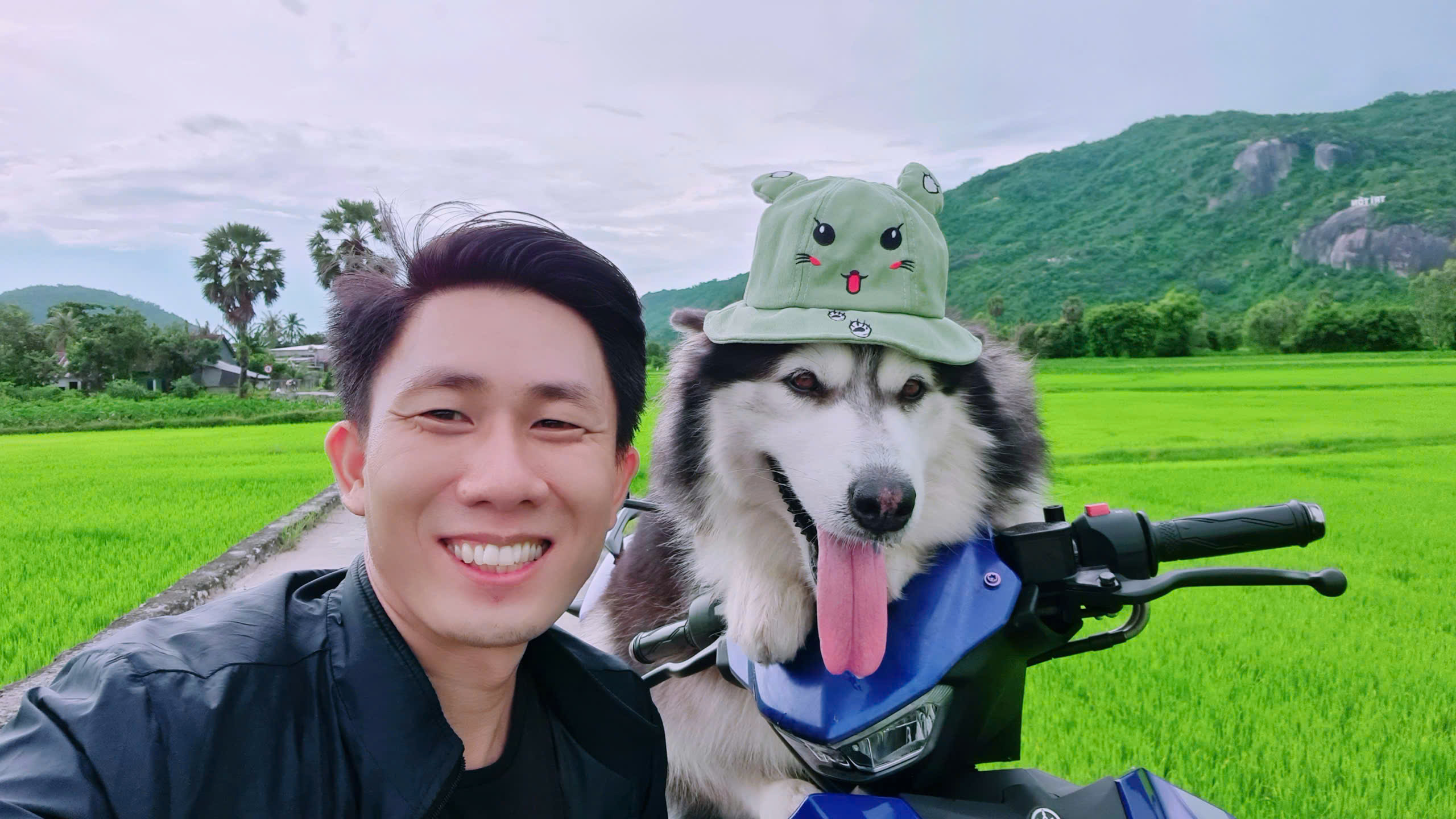 Chú chó Alaska thích làm hướng dẫn viên du lịch và leo núi - Ảnh 1.