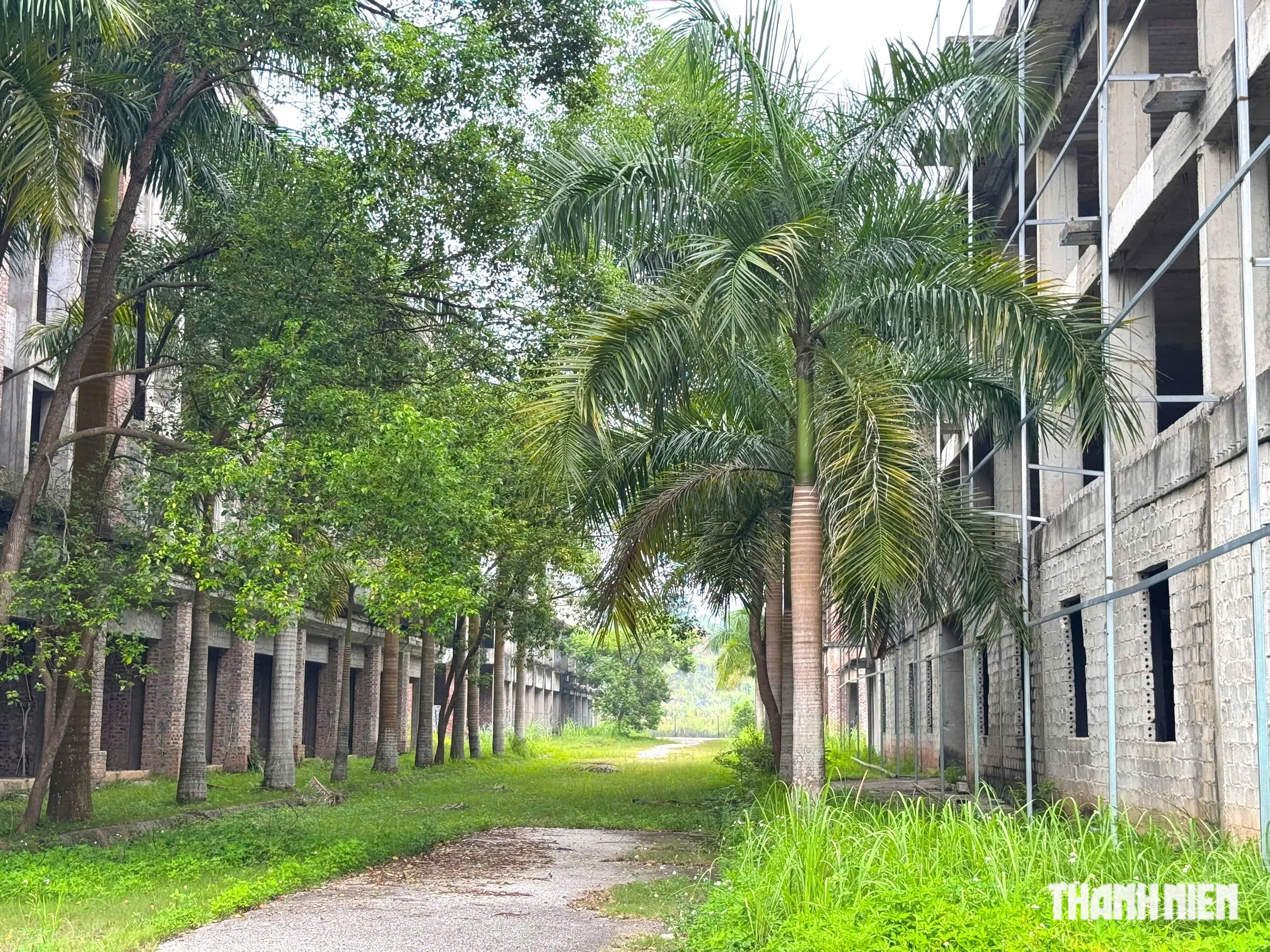 Sân golf 'tai tiếng' ở vùng biên sau hơn 20 năm vẫn 'giậm chân tại chỗ' - Ảnh 6.